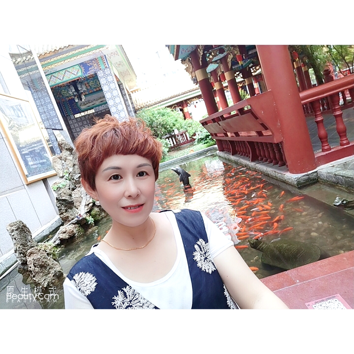 呆萌说菠萝的照片