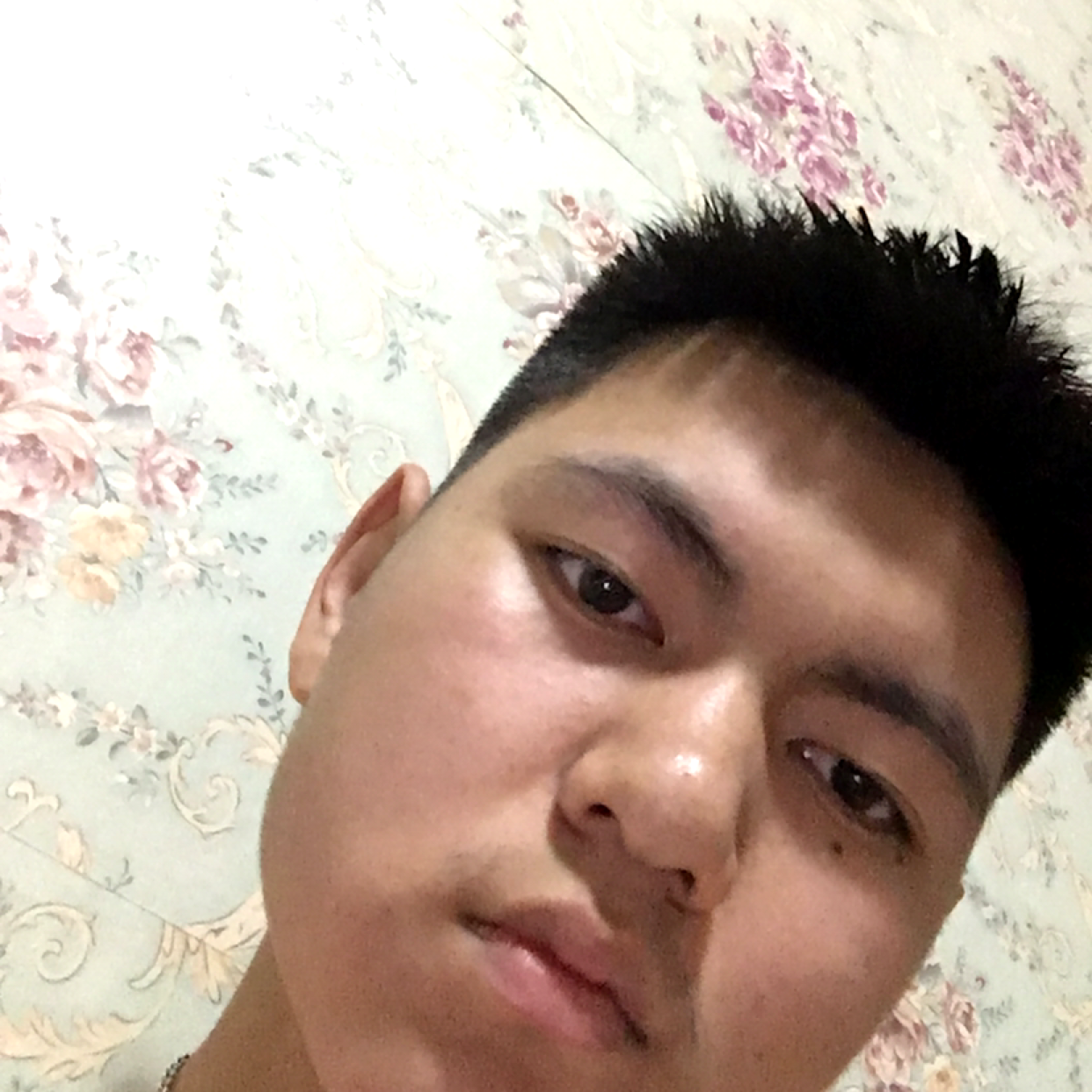 ➿森的照片