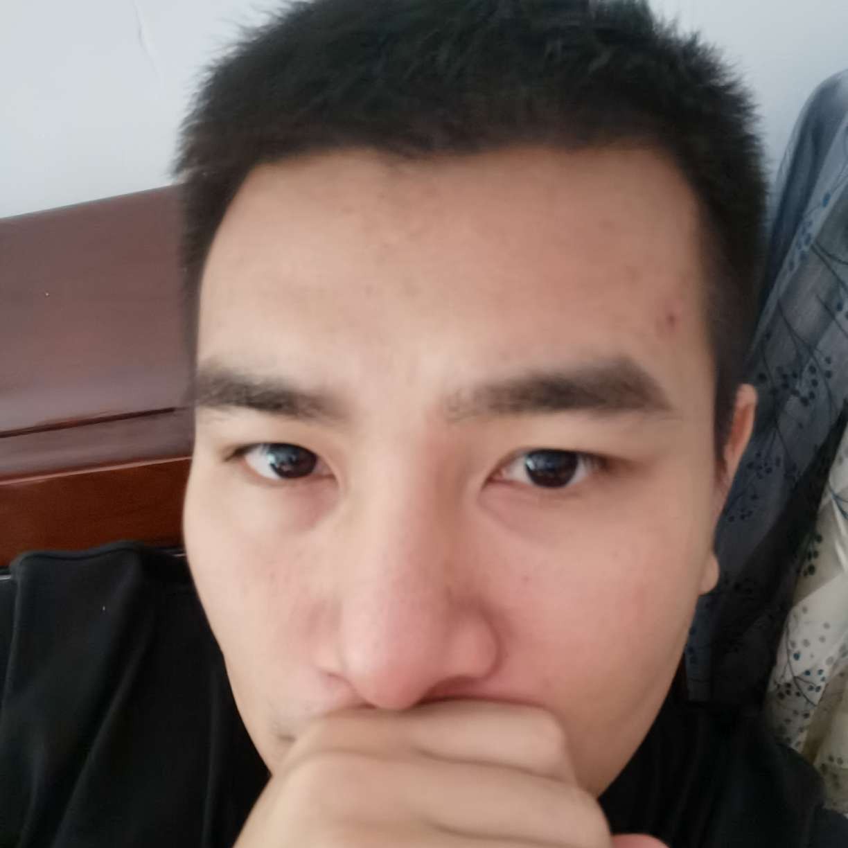 大白蹁跹阳光的照片