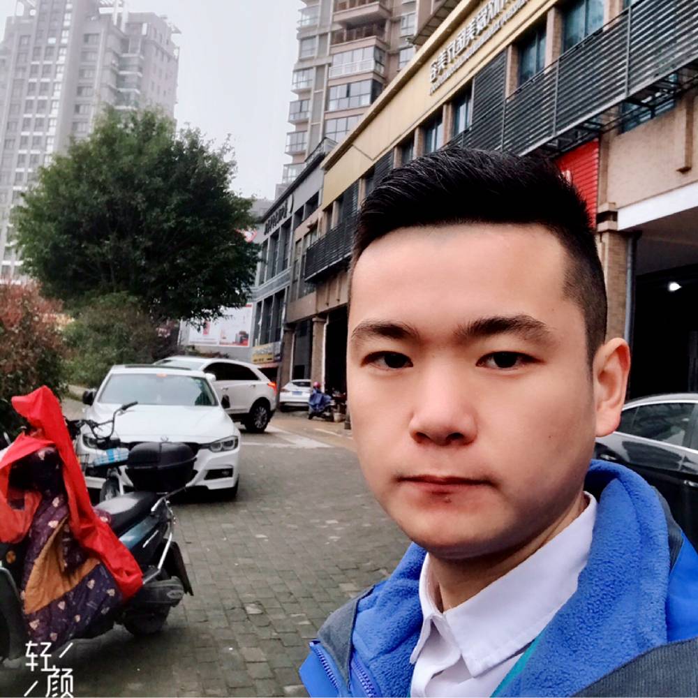 还单身停止狗的照片