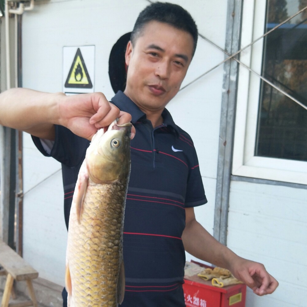 杨村90的照片