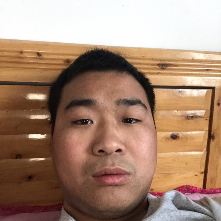 网络迎俊逸的照片