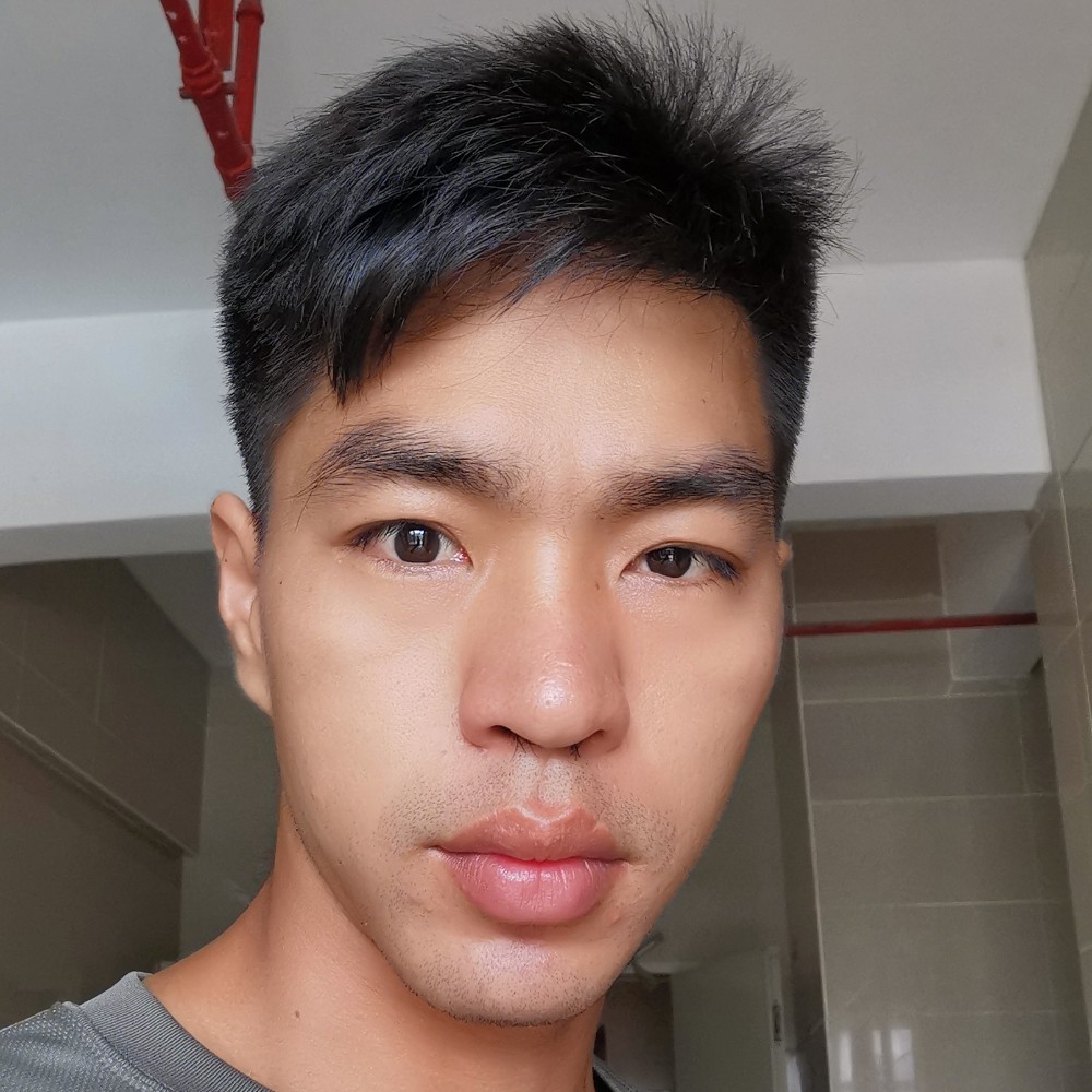 羽羽双飞的照片