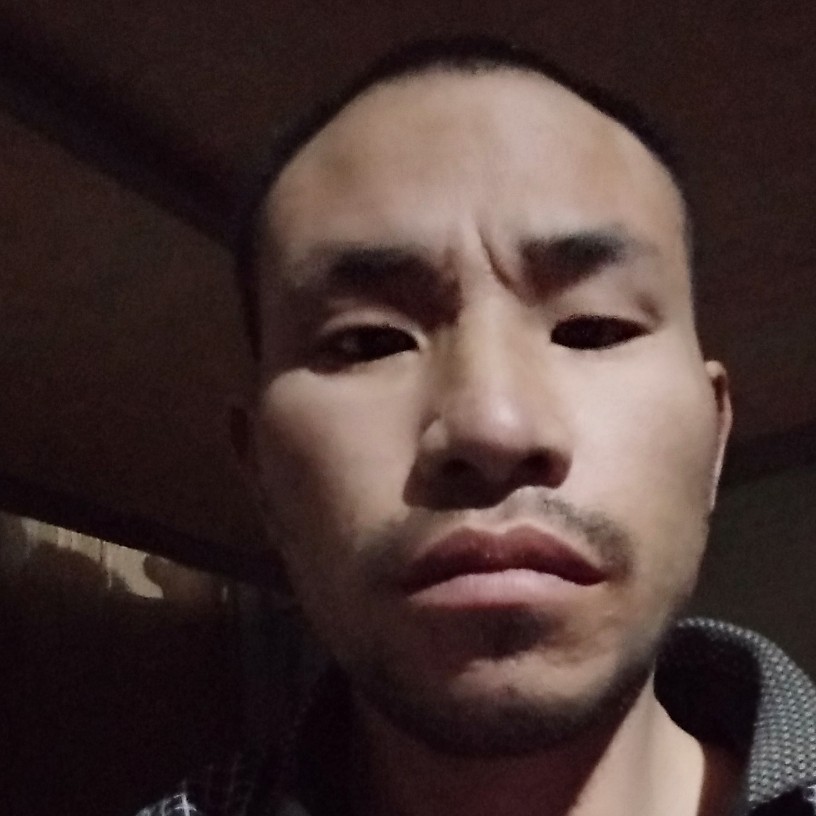中年单身狗的照片