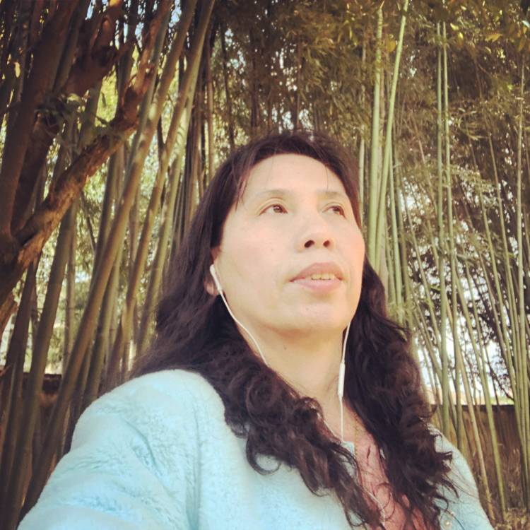 不想再次伤害的照片
