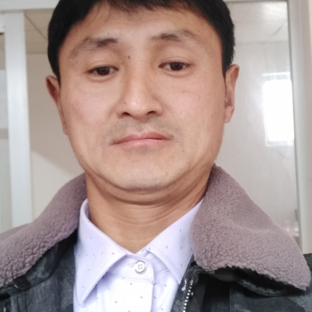 情动阳光的照片