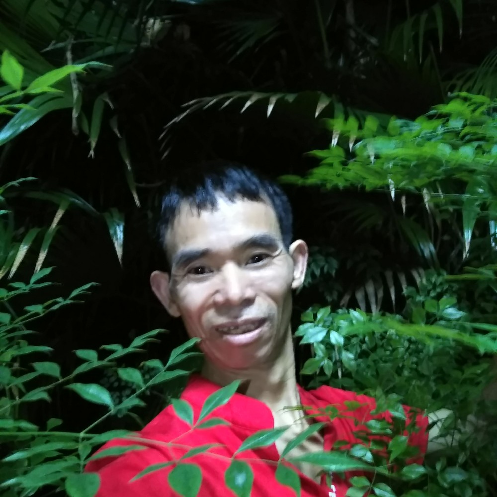 忘忧爱恋高贵的照片