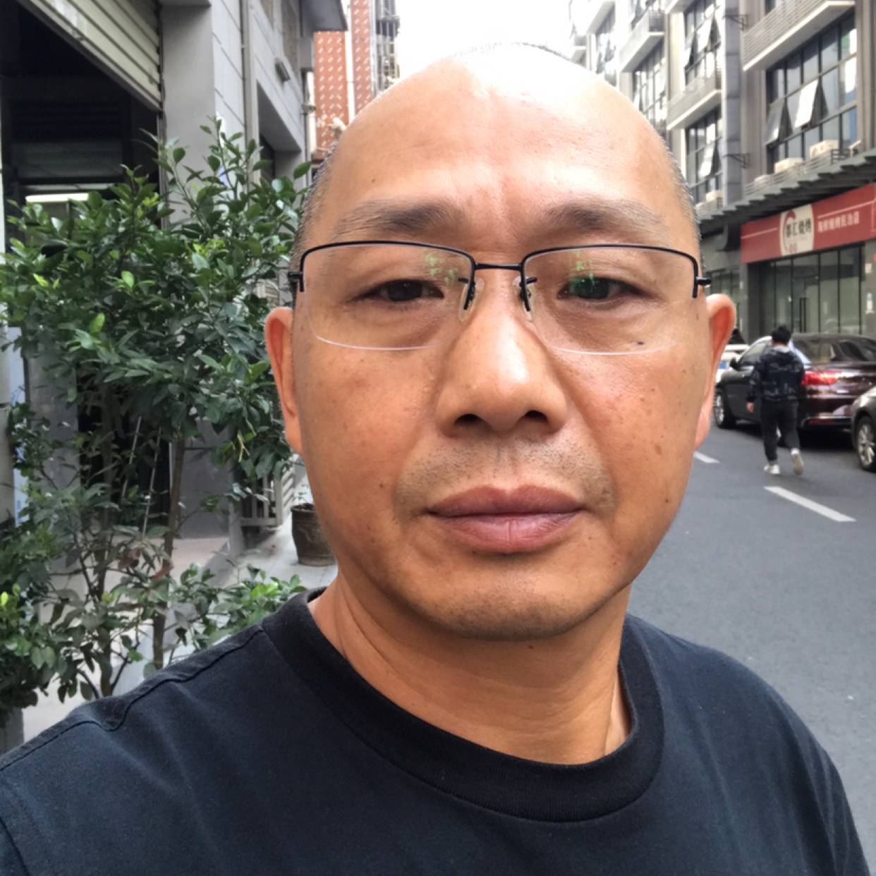 独木孤草的照片