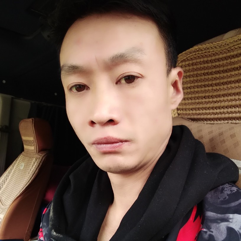 朴素放弃乌龟的照片