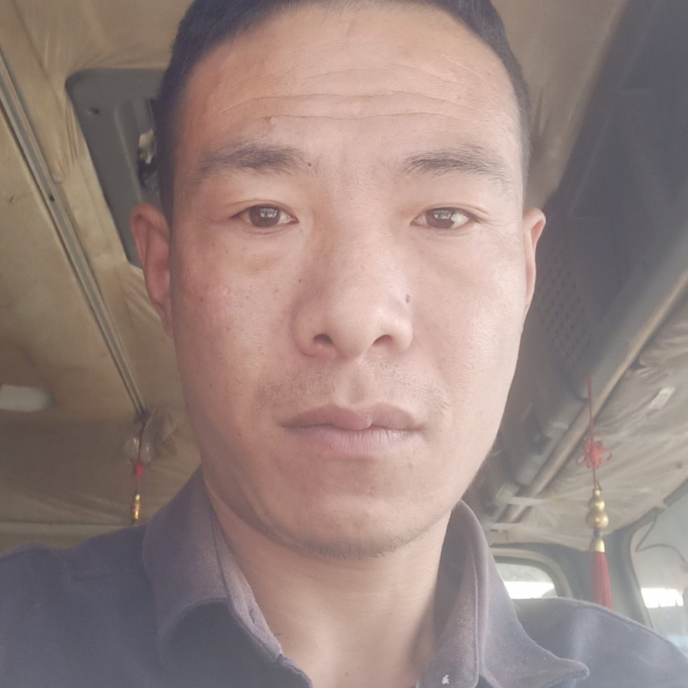 青花回首明媚的照片