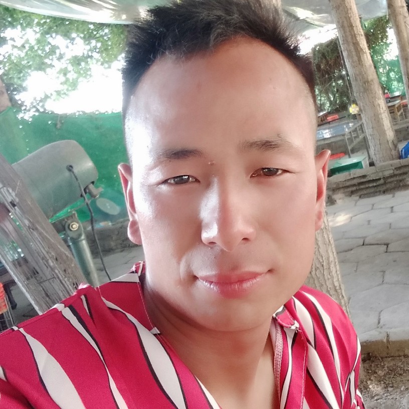 浪子h回头的照片