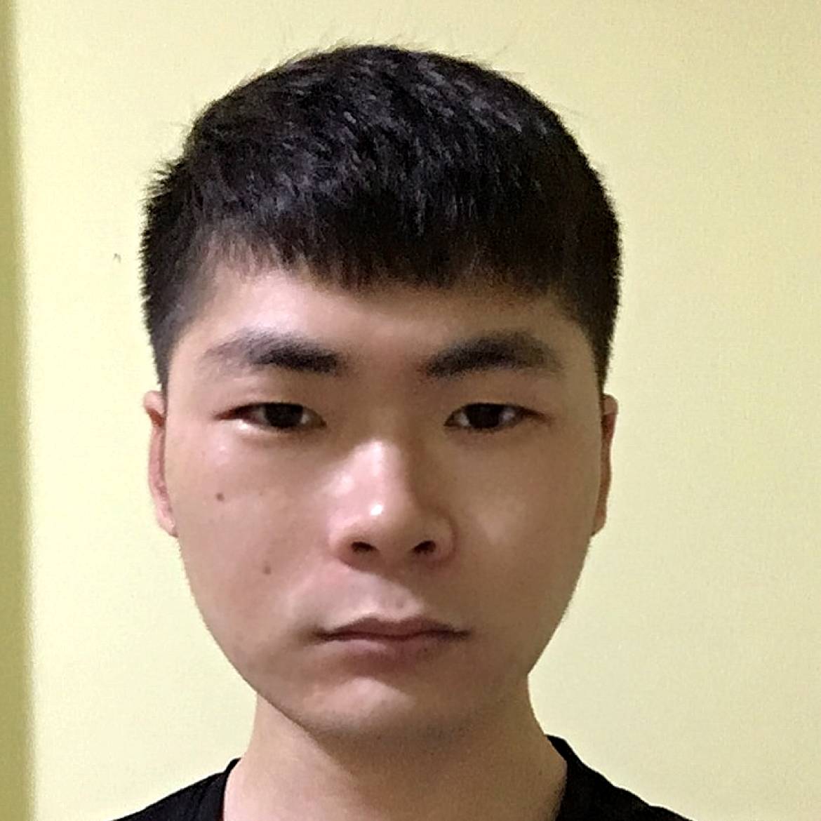 碎月纷曳的照片