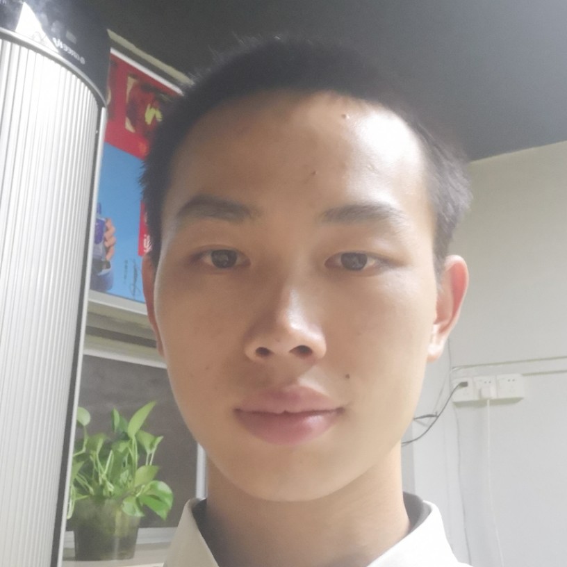 小海豚用糟糕的照片