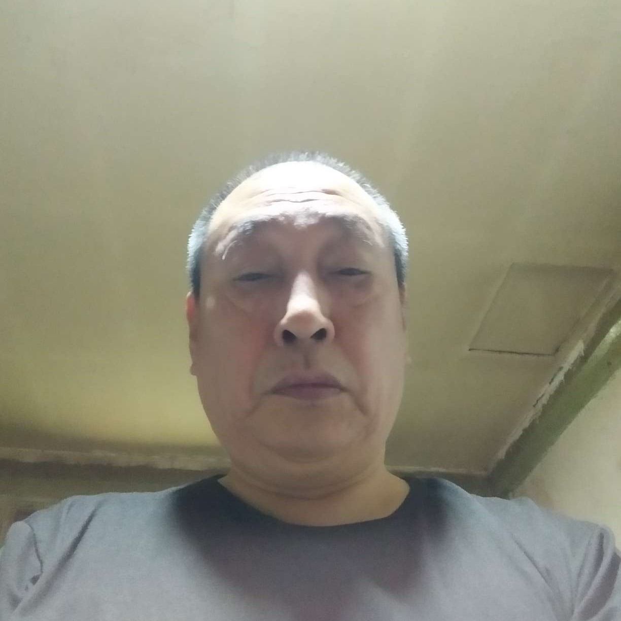 鸭子倾心无私的照片