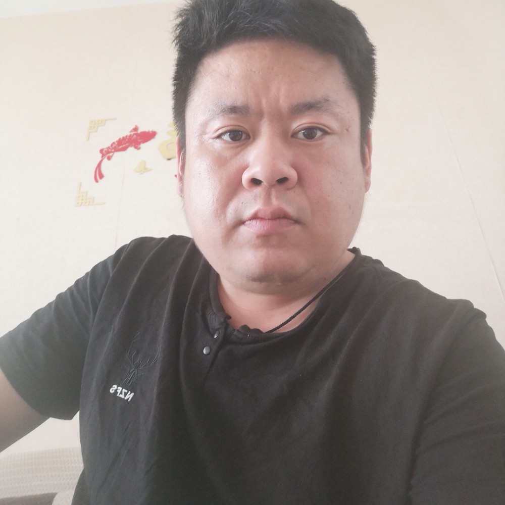 曲奇和简单的照片