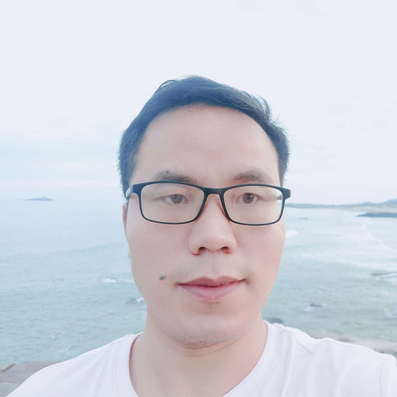 努力前行的蜗牛的照片
