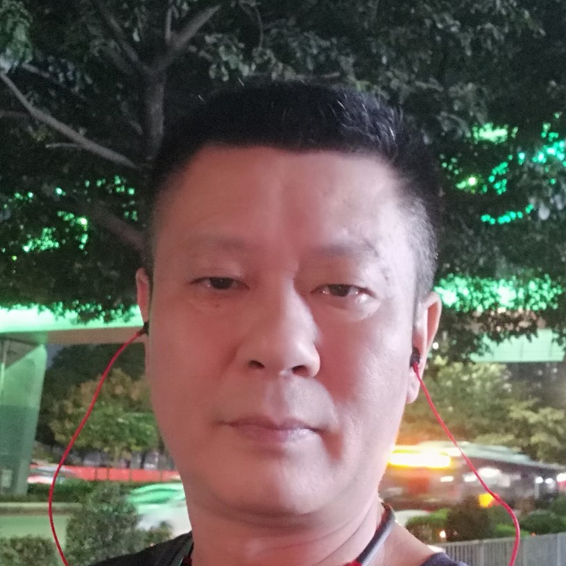 落叶天的照片