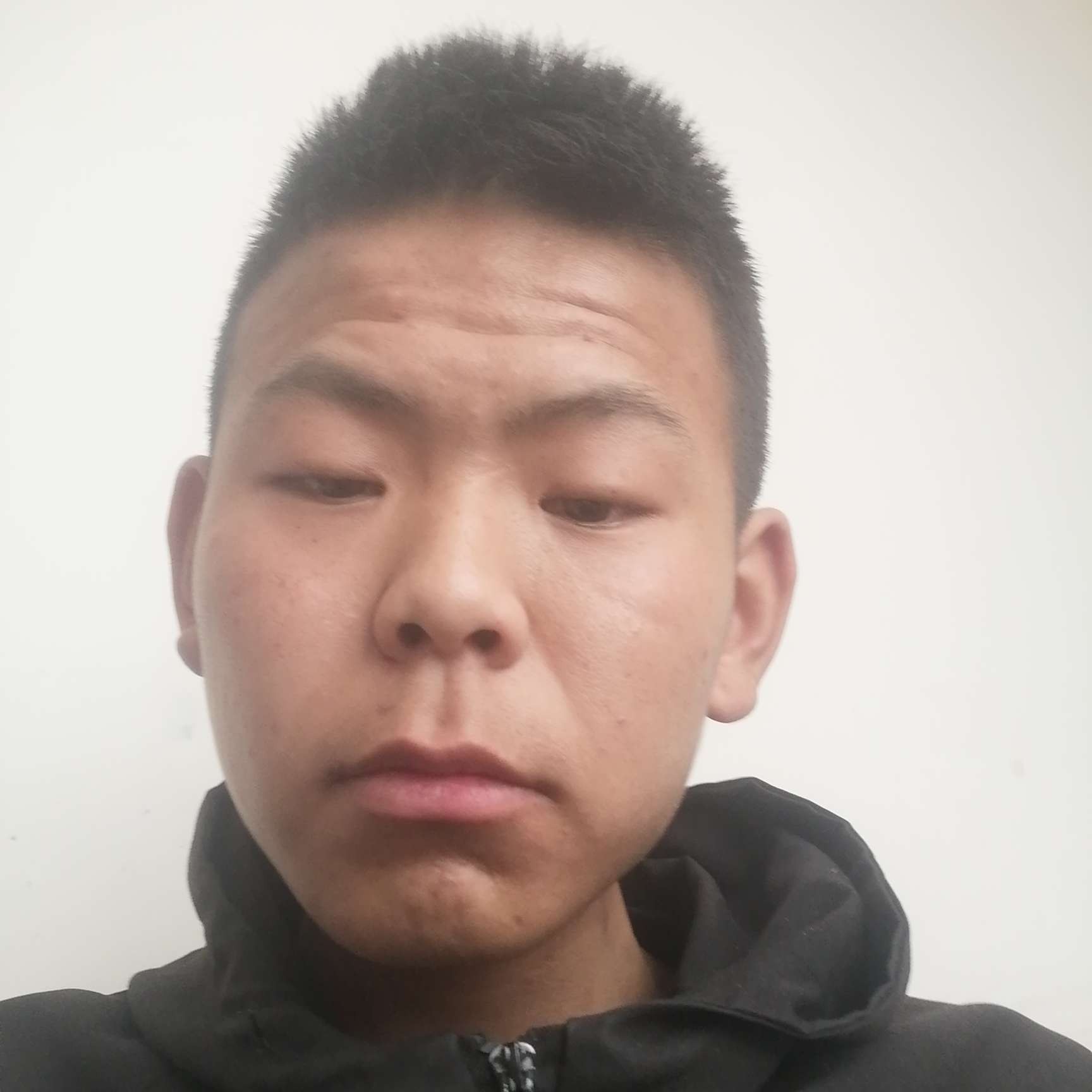 鼠标迎和谐的照片