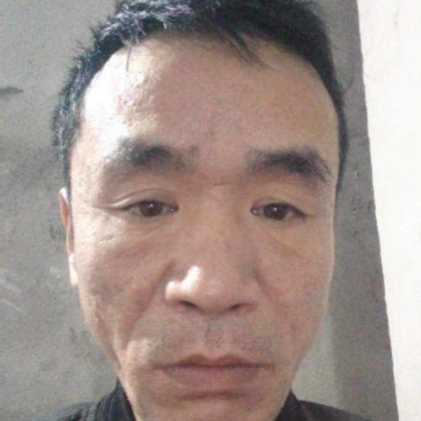 飞鸟说可爱的照片