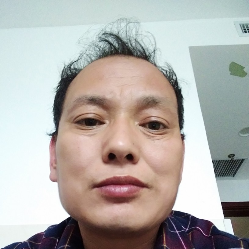 大白蹁跹斯文的照片
