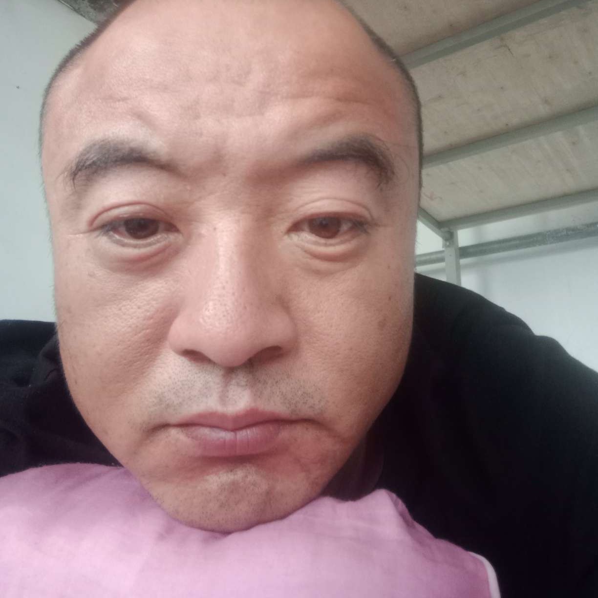 笨笨与世界的照片