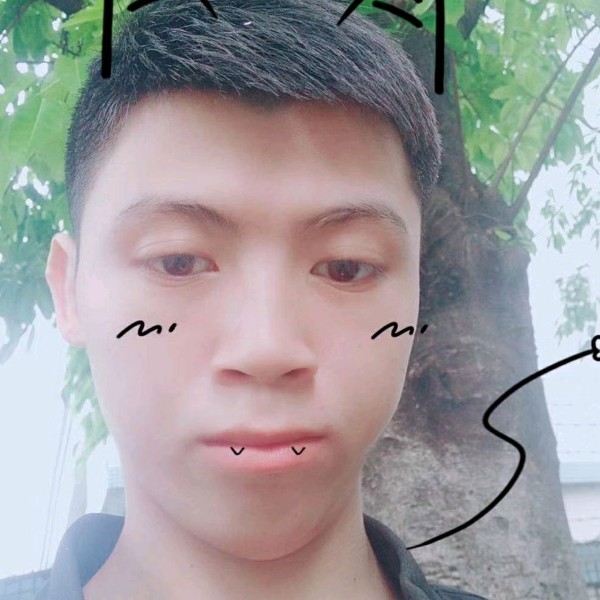 拼搏漫步黑猫的照片