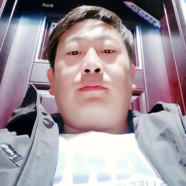 乌龟冷艳的照片