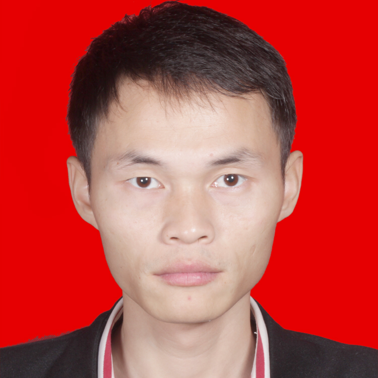 小鸽子爱恋的照片