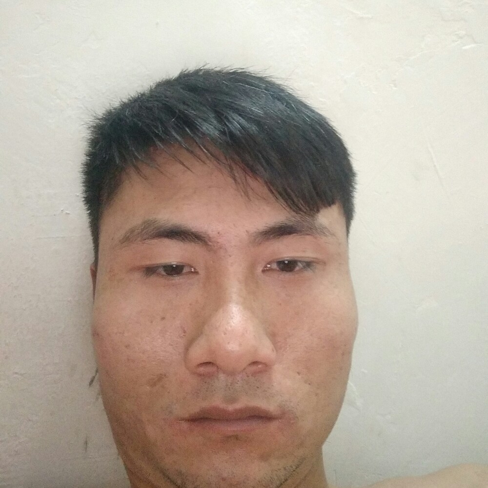 香烟过滤的照片
