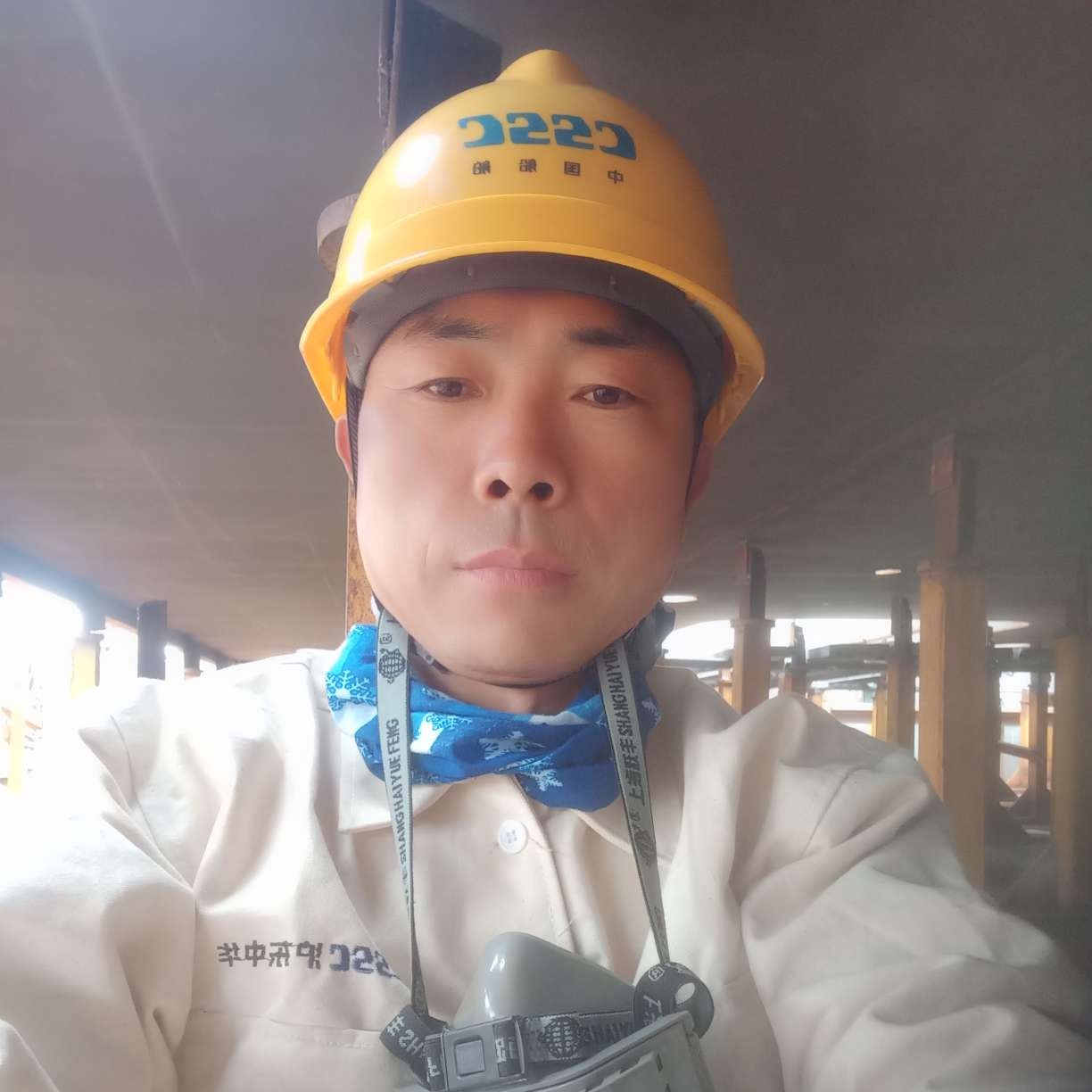 汉堡浅吻醉熏的照片