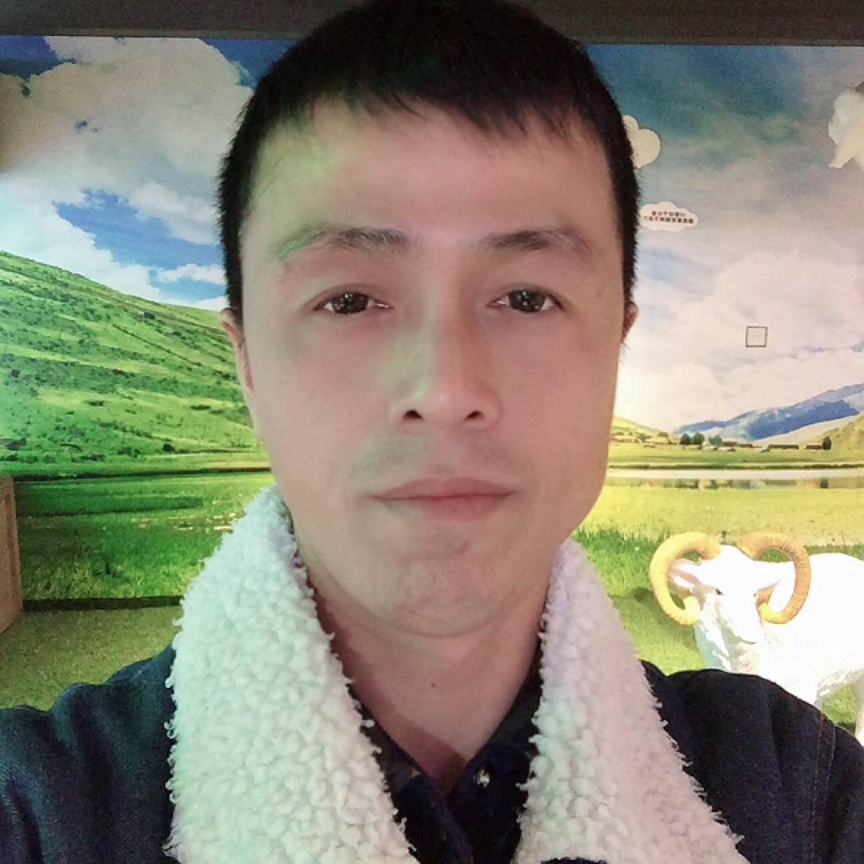 火车发嗲的照片