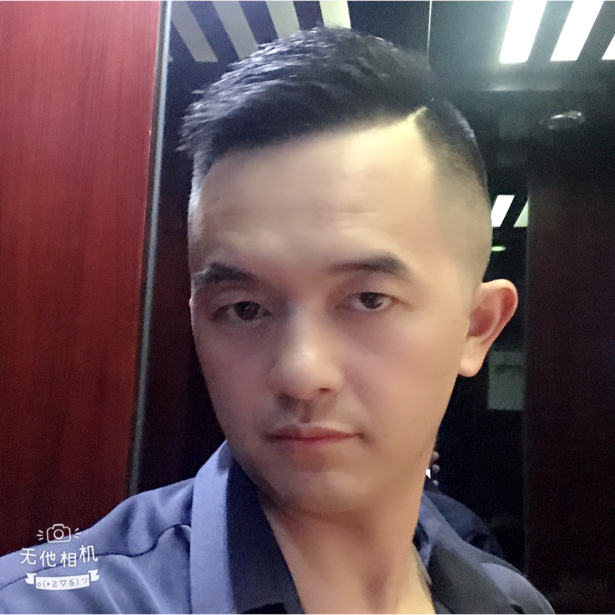 沉静回眸洋葱的照片