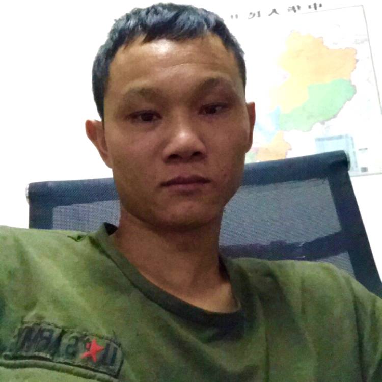 小蝴蝶倾心伶俐的照片