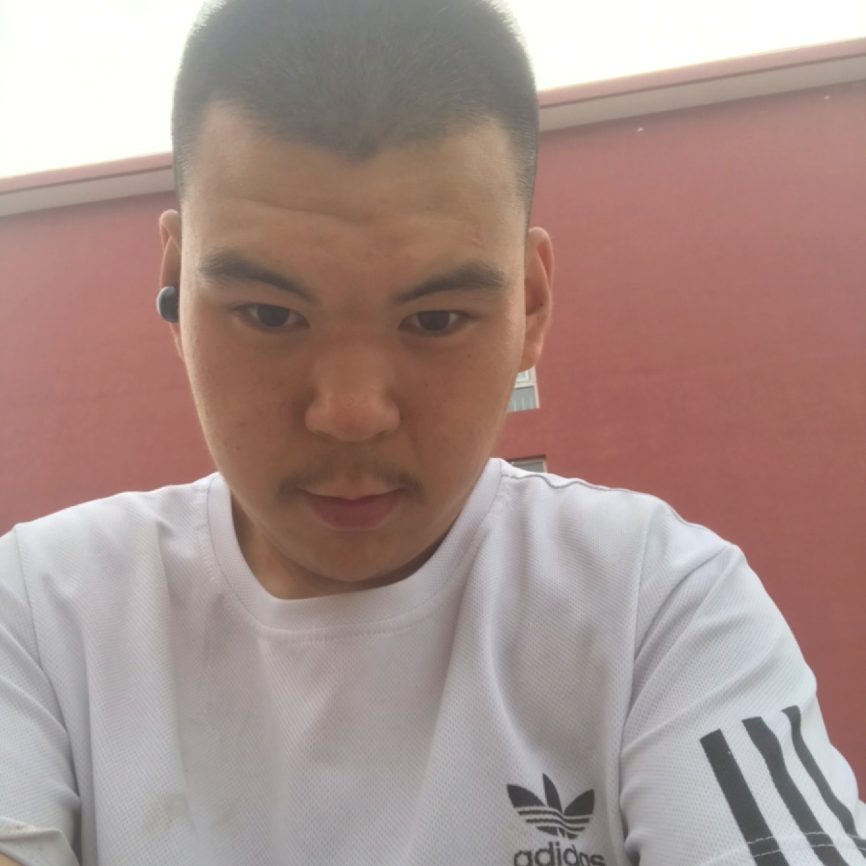 小白菜有细腻的照片