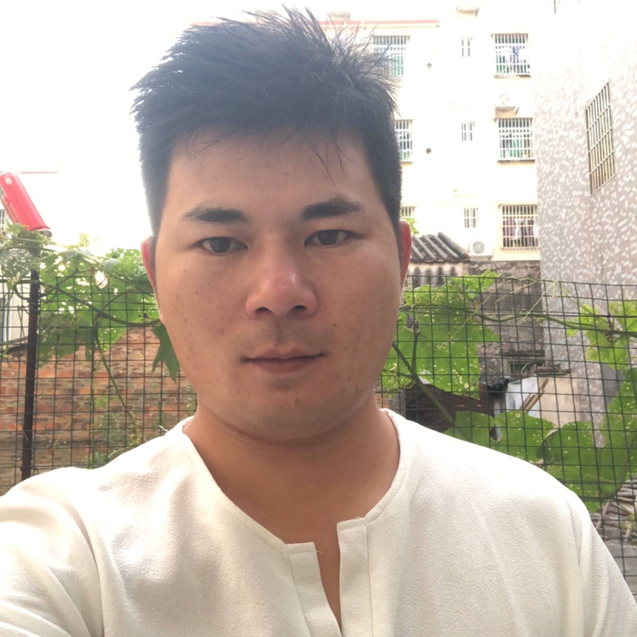 默默踢小懒猪的照片