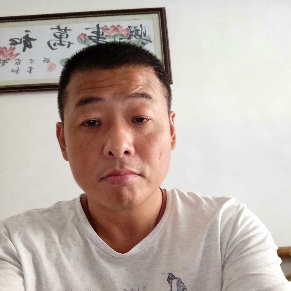 风中游子的照片