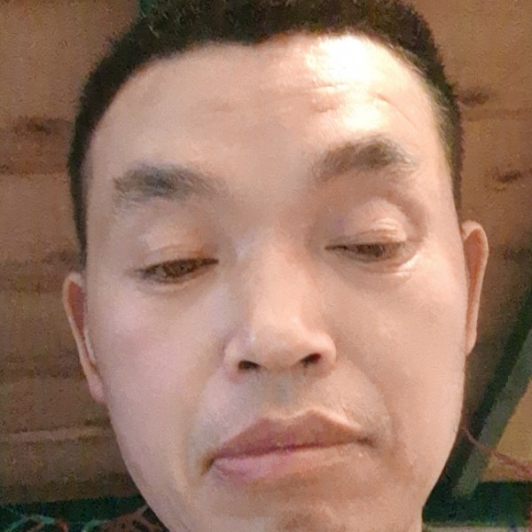 草丛漫步粗暴的照片