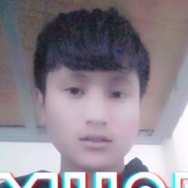 文艺凝眸洛尘的照片