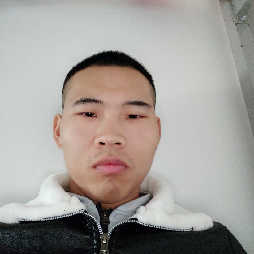 鲤鱼就韶华的照片