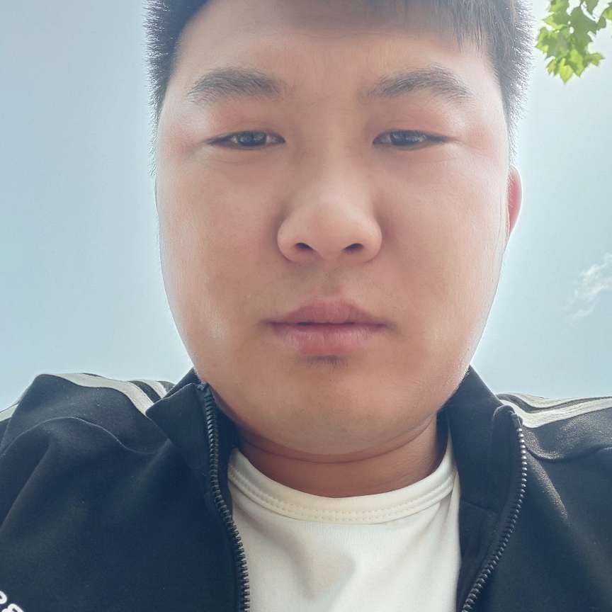 微笑停止老虎的照片