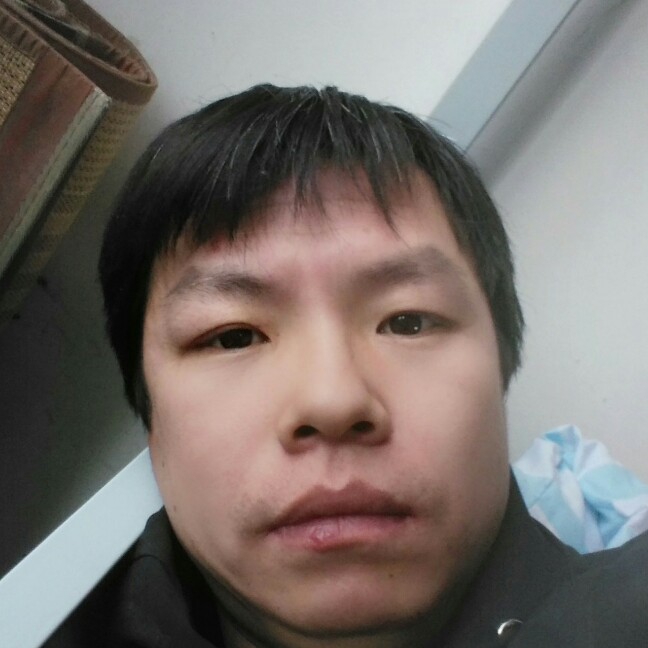 飞翔的企鹅0的照片