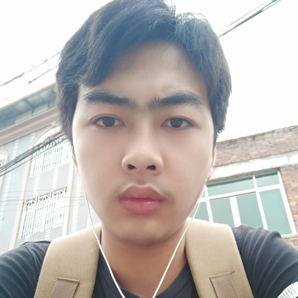 刺猬与玫瑰的照片