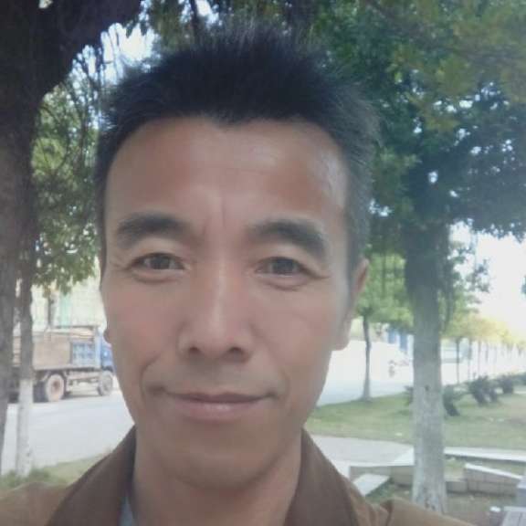 所见的照片