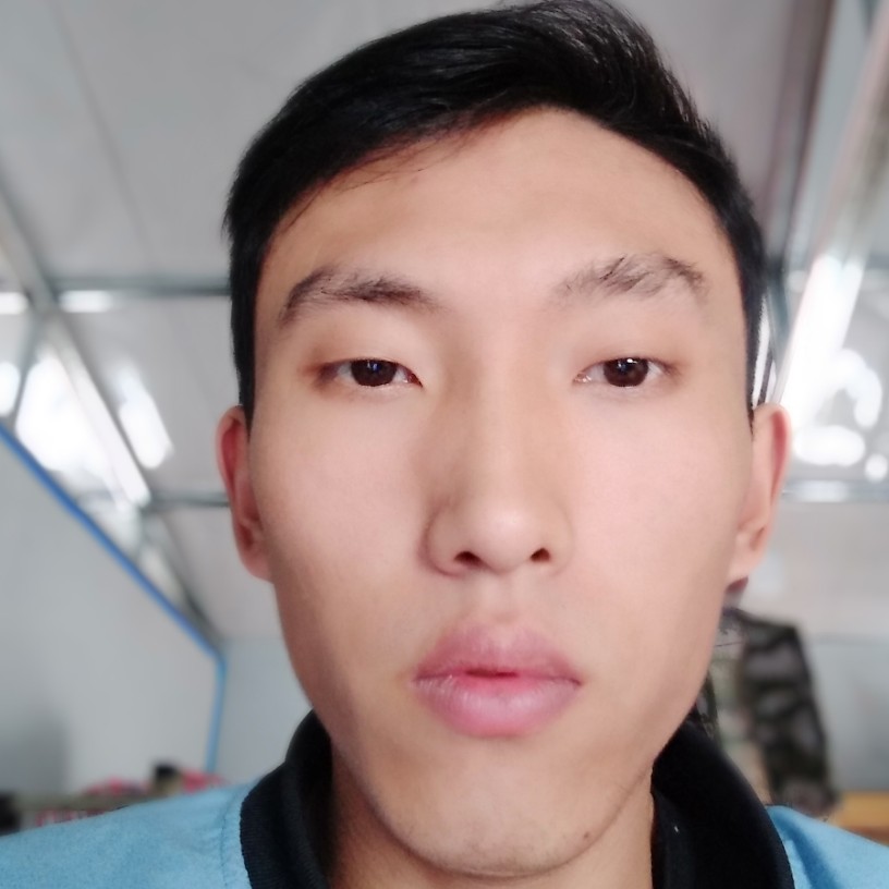 飞鸟苦恋无语的照片