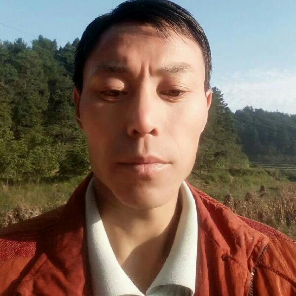 满意蹁跹小兔子的照片