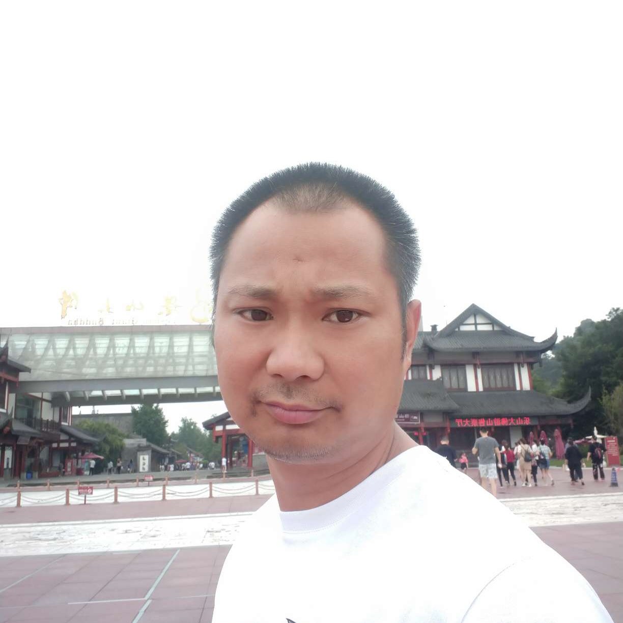 香菇苦恋失眠的照片
