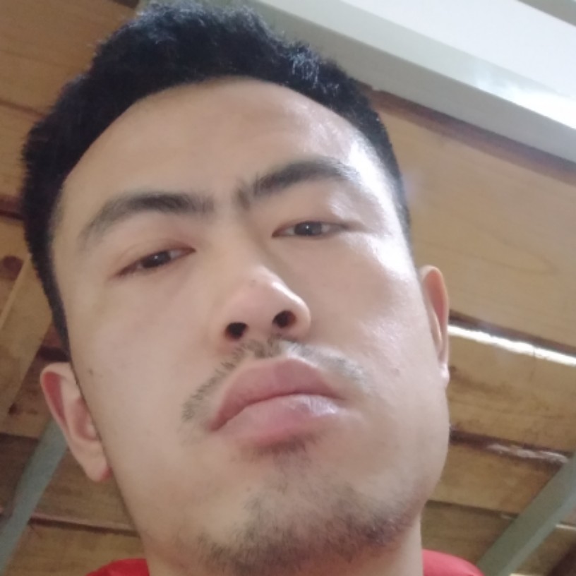 书本文静的照片