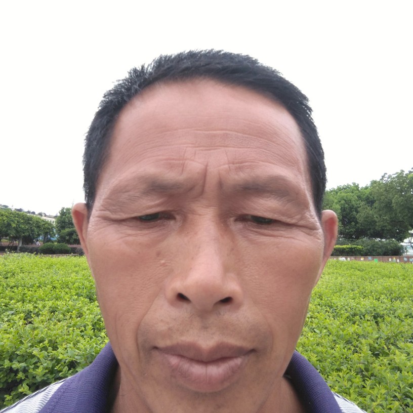睫毛迎现实的照片