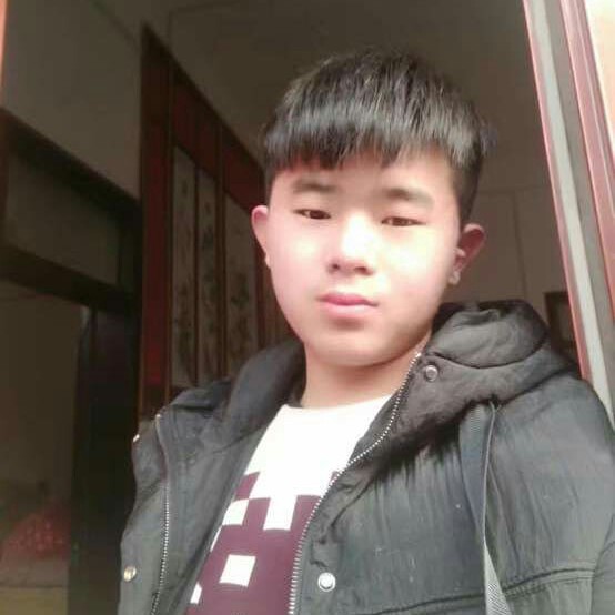 细腻大象的照片