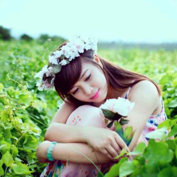 谦让茉莉的照片